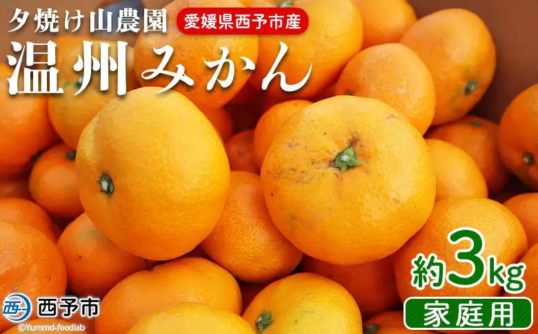 ＜夕焼け山農園 愛媛県西予市産 温州みかん 家庭用 約3kg＞『2026年10月上旬～12月下旬予定』果物 フルーツ ミカン 蜜柑 柑橘 なんかん 訳あり うんしゅうみかん ウンシュウ 特産品 愛媛県 西予市 【常温】AYN0007