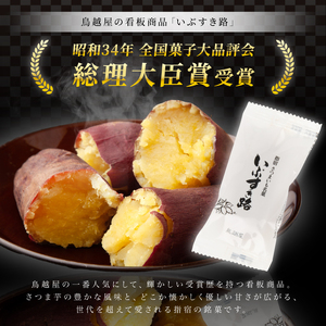南薩指宿の郷土菓子 よもぎ餅 22個入り 鳥越屋 IB055-004 和菓子 和菓子