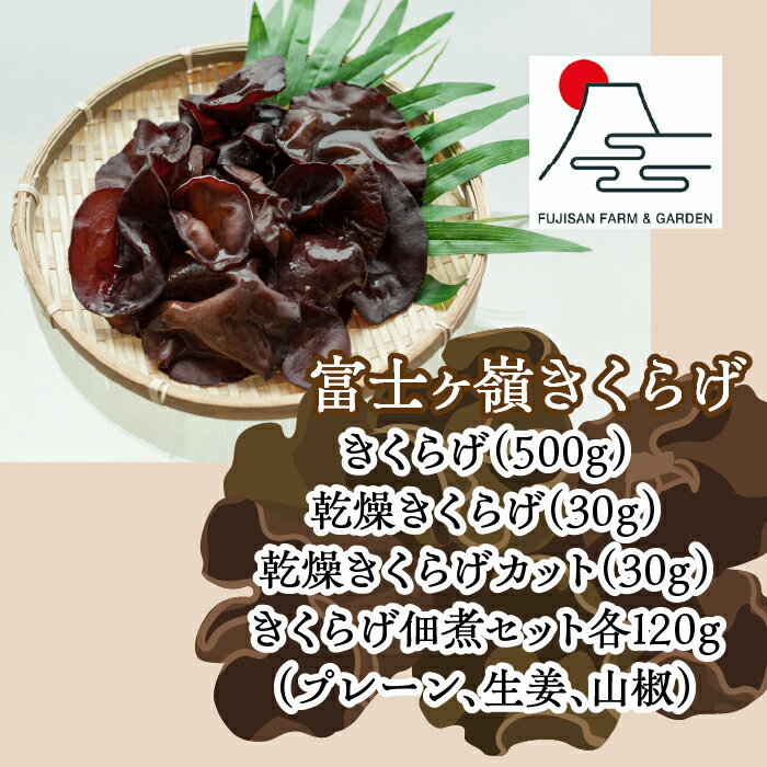 【ふるさと納税】富士ヶ嶺きくらげ満足セット 生姜 山椒セット 乾燥 きくらげ 炒め物 佃煮 きのこ 食物繊維 鉄分 ビタミンD お取り寄せ グルメ 送料無料 富士河口湖町 山梨県 FDY003