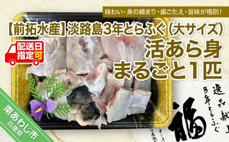 淡路島3年とらふぐ（大サイズ）活あら身まるごと1匹◆配送10月25日～3月31日