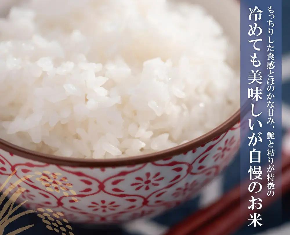 Z17-25 令和7年産 研ぐお米 元気つくし5kg
