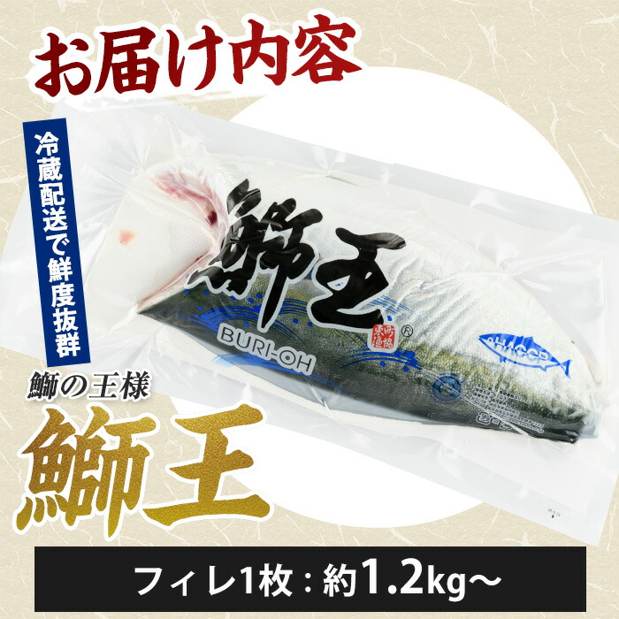 【先行予約】ぶりの王様「 鰤王 」 フィレ (約1.5kg・フィレ1枚) 産地直送 長島町特産品 ぶり 鰤 ブリ 切り身 真空 冷蔵 刺身 ぶりしゃぶ 人気 【JFA】_jfa-1219