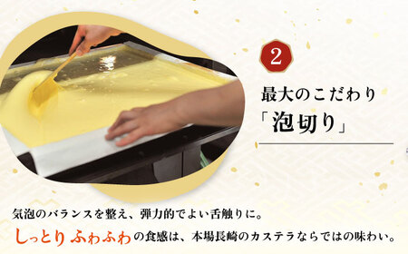 長崎カステラ 2号 （580g 10切）大村市 異人堂[ACBM001]