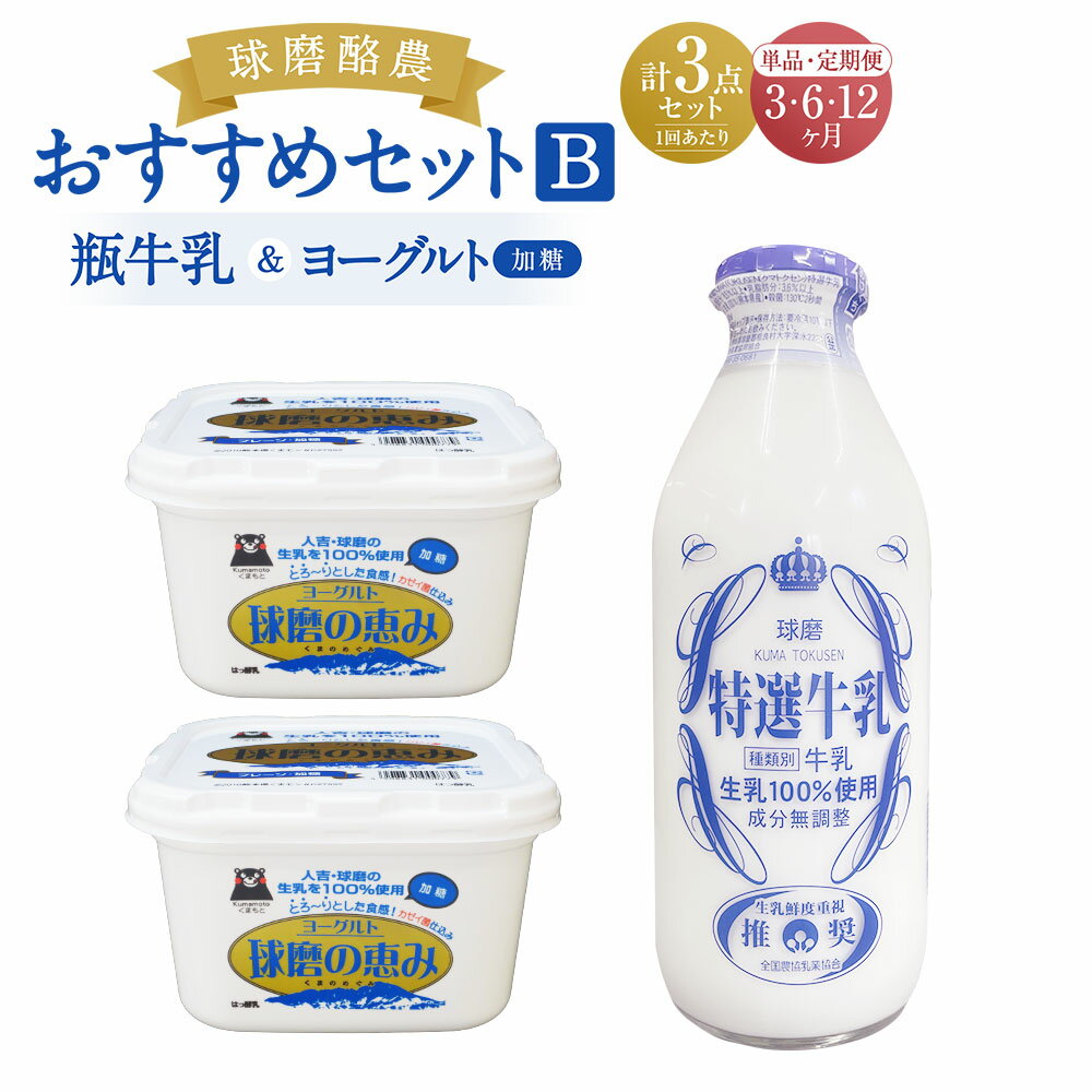 【ふるさと納税】球磨酪農おすすめセットB 瓶牛乳&ヨーグルト加糖×2個 定期便 3回 6回 12回 ヨーグルト 乳製品 スイーツ 乳酸菌 善玉菌 牛乳 ミルク 健康 美容 腸活 健康 送料無料