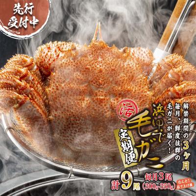 ふるさと納税 新ひだか町 ＜2027年2月上旬より発送開始＞ 【定期便全3回】北海道産浜ゆで毛ガニ 3尾×3回 ＜先行受付＞