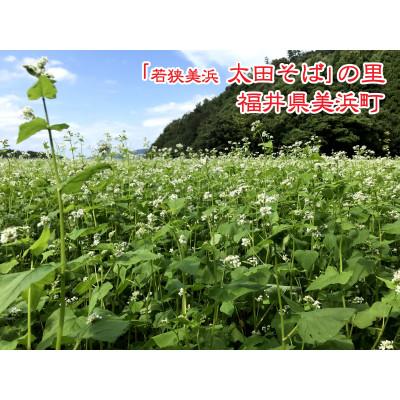 ふるさと納税 美浜町 【若狭美浜】太田そばセット(4袋入り・つゆ付) |  | 03