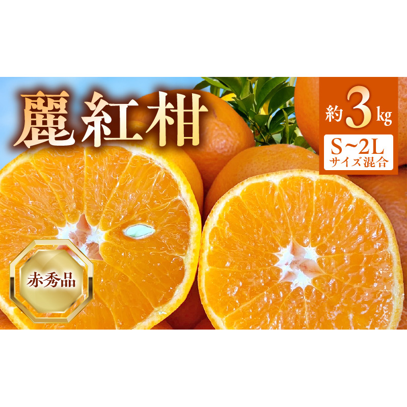 【2027年先行受付】麗紅柑 (れいこう) 赤秀品 S～2Lサイズ 3kg 和歌山有田産_BF6062