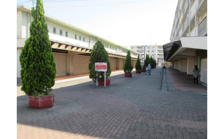 紅茶を通して、ふるさとわし宮団地活性化活動を応援！kuki紅茶 |  商店街活性化 学習支援 場づくり 地域福祉 久喜市 埼玉県 