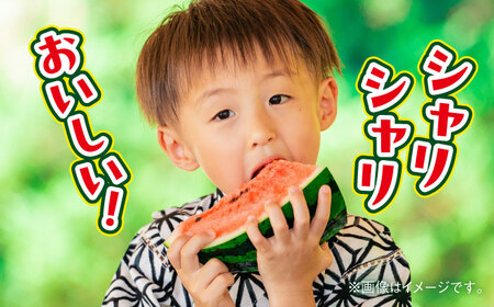 【2026年 先行予約】【数量限定】大玉すいか 3L以上 1玉入り 約8kg【日本フルーツ株式会社】[AYDA007]