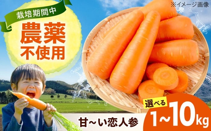 
            【選べる容量】人参  にんじん 野菜 やさい 旬の野菜 旬 季節 新鮮 採れたて 広島県福山市/しもみん農場 [BAGT001]
          
