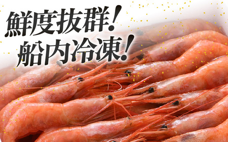 【年内発送】お世話になったあの方へ☆【のし付き】天然！越前甘エビ【大サイズ・卵あり】500g/1箱 [m17-a063]