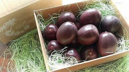 【先行受付】奄美大島産 パッションフルーツ ご家庭用3kg（32～35個入）