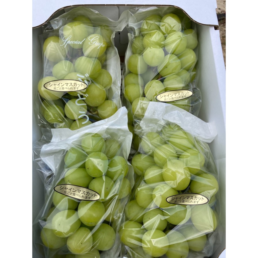 ＜戸田果樹園＞シャインマスカット（大粒）2kg(3～4房)