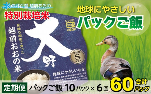 【先行予約】【6ヶ月定期便】地球にやさしいパックご飯 10食入り【白米】× 6回　計60食　減農薬・減化学肥料 「特別栽培米」