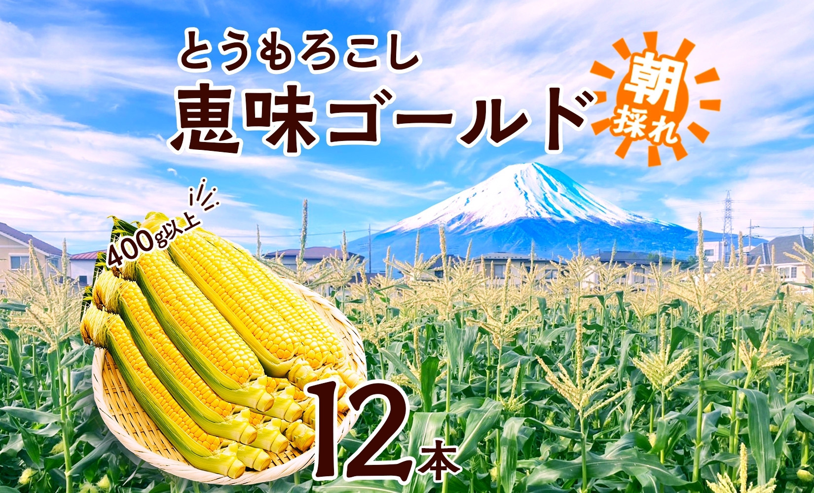 とうもろこし 恵味 ゴールド 400g以上×12本 計4.8kg以上 高糖度 トウモロコシ スイートコーン 玉蜀黍 イエローコーン 黄 夏野菜 甘い ジューシー 野菜 おやつ 旬 産地直送 送料無料 湖南野菜出荷組合 山梨県 富士河口湖町