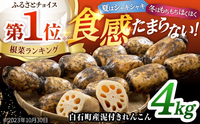 
                  【先行予約 2026年10月～発送】白石町産 泥付きれんこん （4kg） 【佐賀県農業協同組合】レンコン 蓮根 野菜 根菜 佐賀県産 九州 佐賀県 白石町  白石 [IAK015]
                