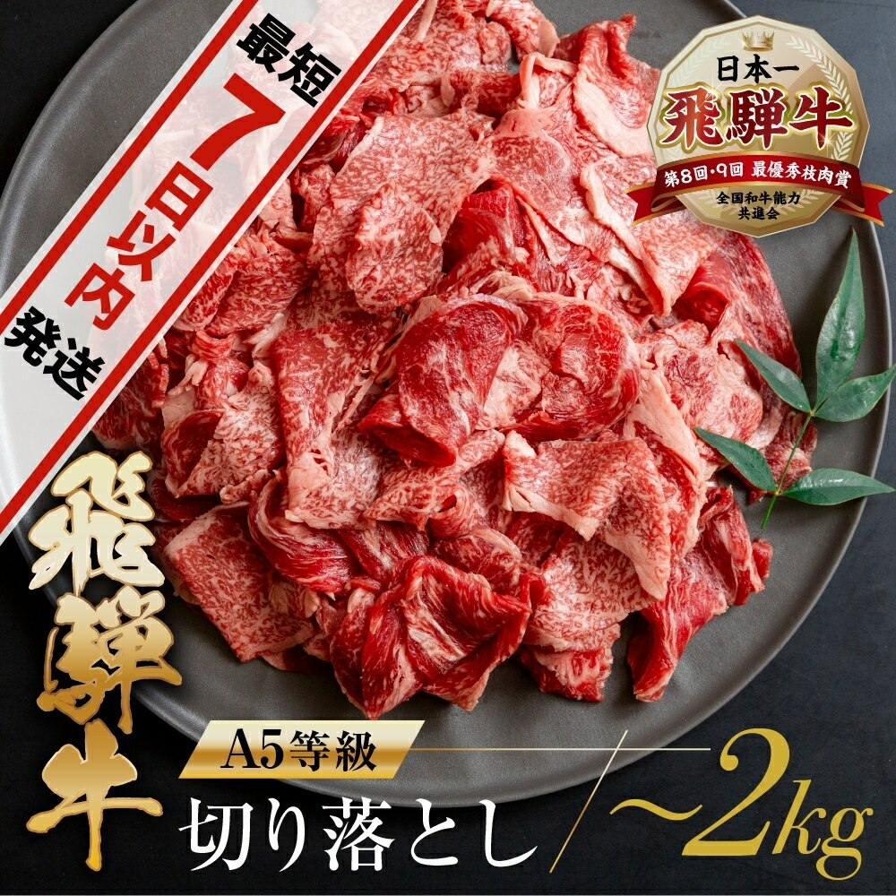 【ふるさと納税】訳あり 飛騨牛 切り落とし 【250g 400g 500g 1kg 1.5kg 2kg 】 | 牛肉 肉 和牛 国産牛 肉 焼肉 すき焼き a5 不揃い 小分け 冷凍 日付指定 トキノ屋食品 本巣市 わけあり ワケアリ 訳有 [mt368] 5000円 5千円 10000円 一万円