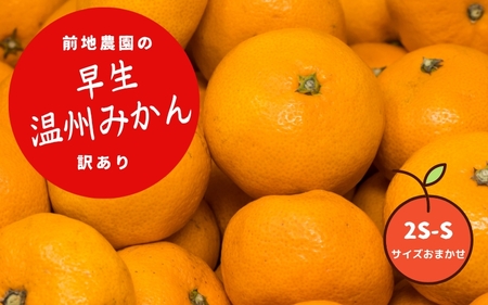 わけあり ワケアリ みかん 蜜柑 早生 数量限定 温州 ミカン ご家庭用 家庭用 / 2S-S サイズおまかせ 前地農園の早生温州みかん  ご家庭用 訳あり 7kg【2025年12月初旬から12月中旬までに順次発送】【mmd006A】