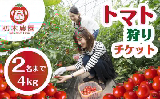 2025年にご利用いただける【期間限定】杤本農園  フルーツトマト狩りチケット 4kg プラン  1枚（2名まで） とまと トマト フルーツトマト チケット トマト狩り とまと狩り