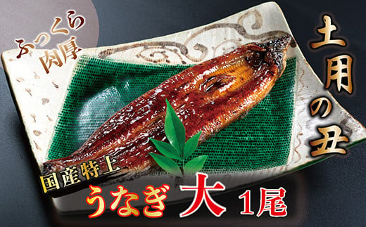 
国産！特上うなぎのかば焼き 約200g × 1尾
