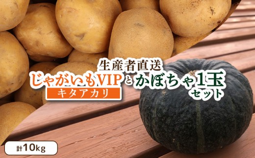 【9月～11月発送予定】（生産者直送）じゃがいも VIP キタアカリ かぼちゃ 1玉 セット 計10ｋｇ いも 芋 イモ ジャガイモ きたあかり カボチャ 南瓜 オンライン 申請 ふるさと納税 北海道 留寿都 野菜 旬野菜 産地直送 新鮮 詰め合わせ 留寿都村【1200401】