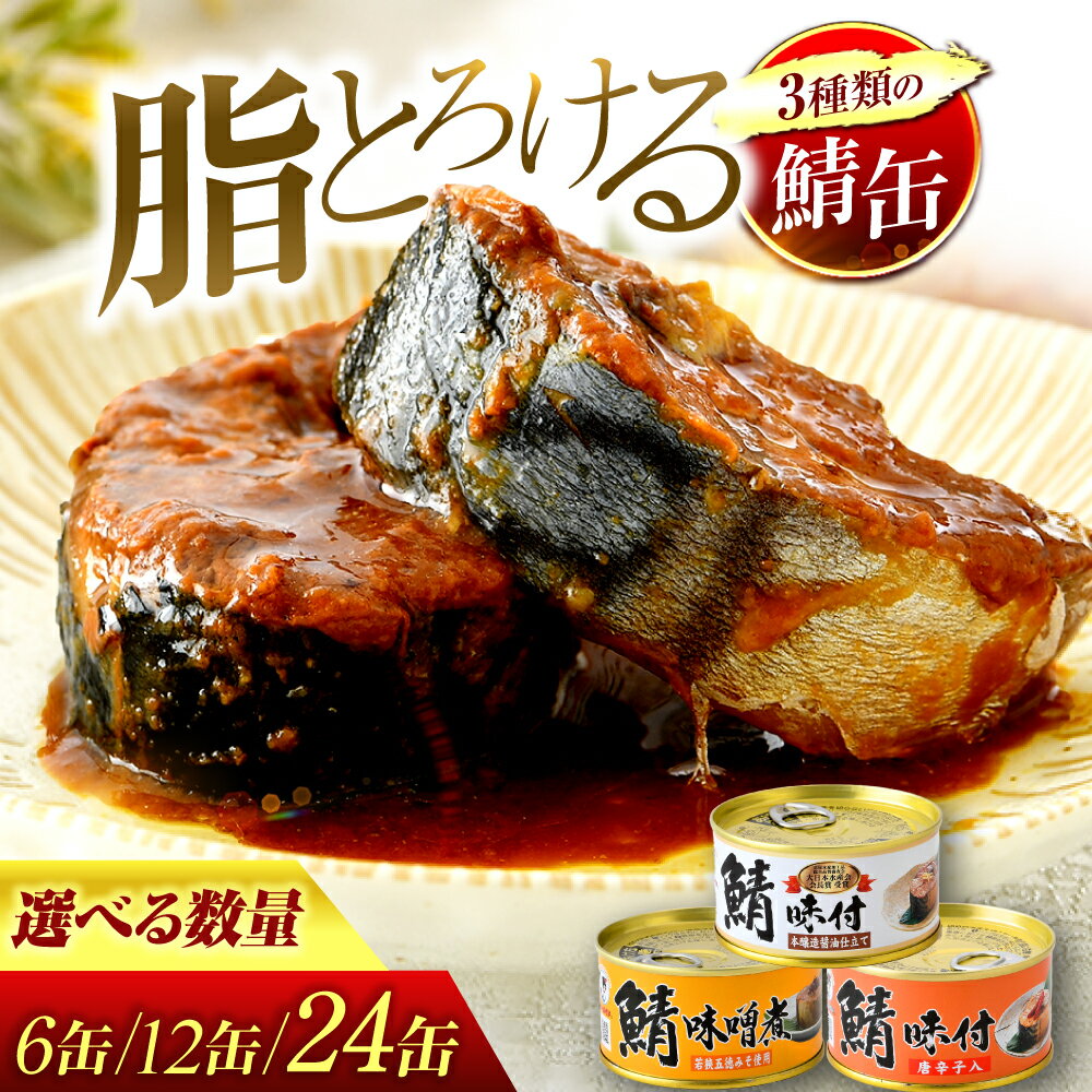 【ふるさと納税】 【選べる缶数】 鯖缶詰 詰め合わせ B　6缶/12缶/24缶｜ 福井県小浜市 キャンプ アウトドア 酒の肴 おつまみ 保存食 [BFAB032]