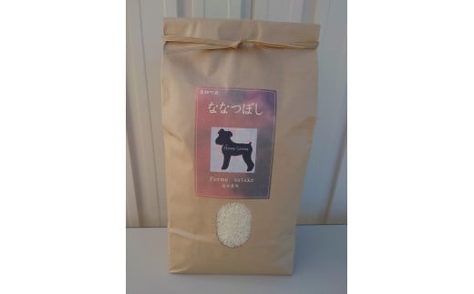 A177 【 令和7年産 】 ななつぼし （ 精米 ） （ 白米 ） 5kg 北海道 鷹栖町 ferme satake 米 コメ こめ ご飯 白米 お米 ななつぼし コメ 白米