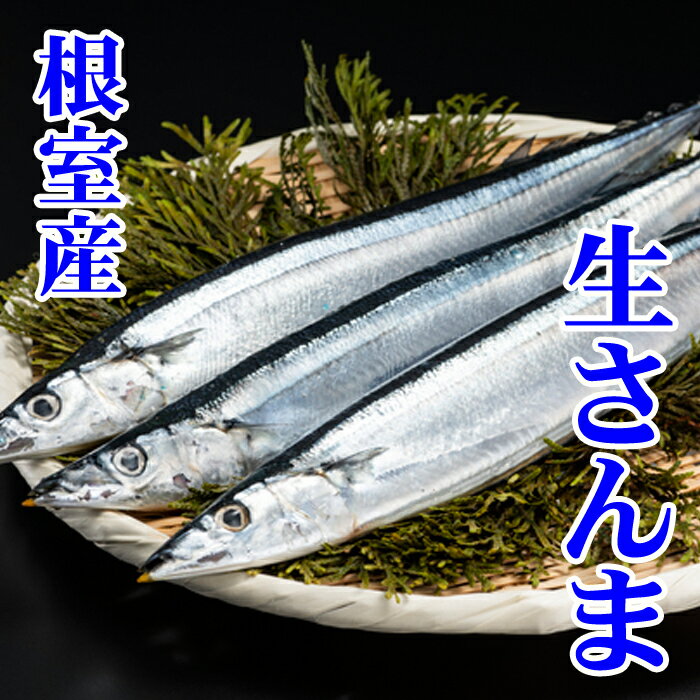 【ふるさと納税】[北海道根室産]さんま 選べる 2P ～ 12P サンマ 秋刀魚 鮮魚 海鮮 さかな サカナ 魚 北海道 根室市