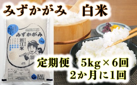 新米 令和7年産 みずかがみ 白米 定期便 全6回 ( 5kg × 6回 )  ( 2か月に1回 ) 【C035W】　近江米