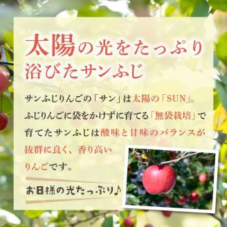 【2026年3月前半発送】 りんご 青森産 約5kg 丸福 サンふじ 光センサー 選果 糖度 13度以上