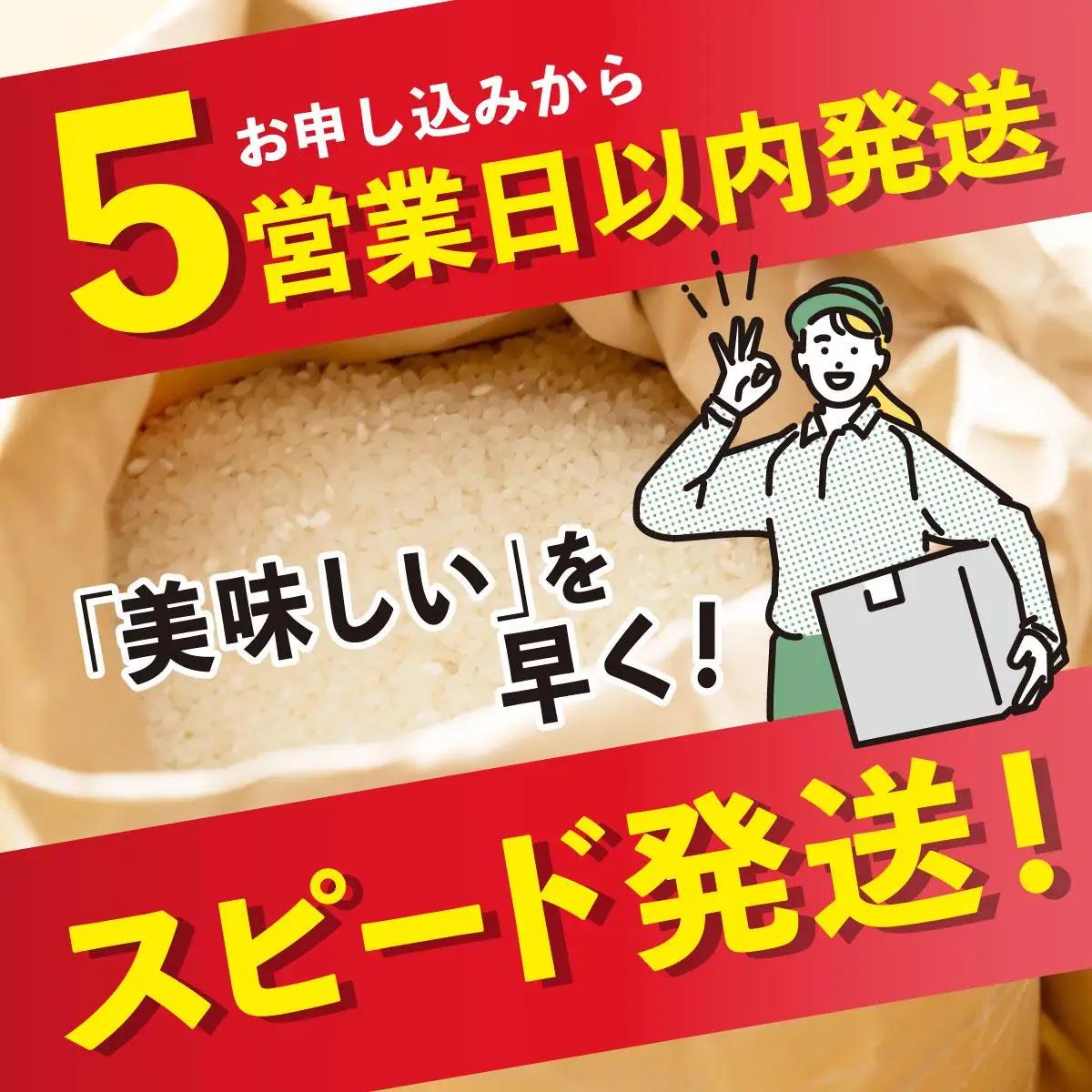 福岡県産元気つくし 白米10kg