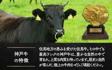 神戸牛特選ロースうす切り　４００g
