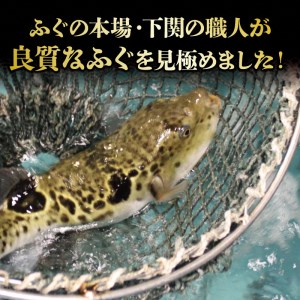 【天然ふぐちり鍋と唐揚げ セット】 4人前 ふぐ 鍋 FG