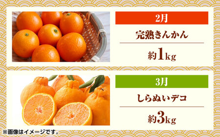 【先行予約】フルーツ6ヶ月定期便【2月~7月】果物定期便すいかメロン [ZBG077]