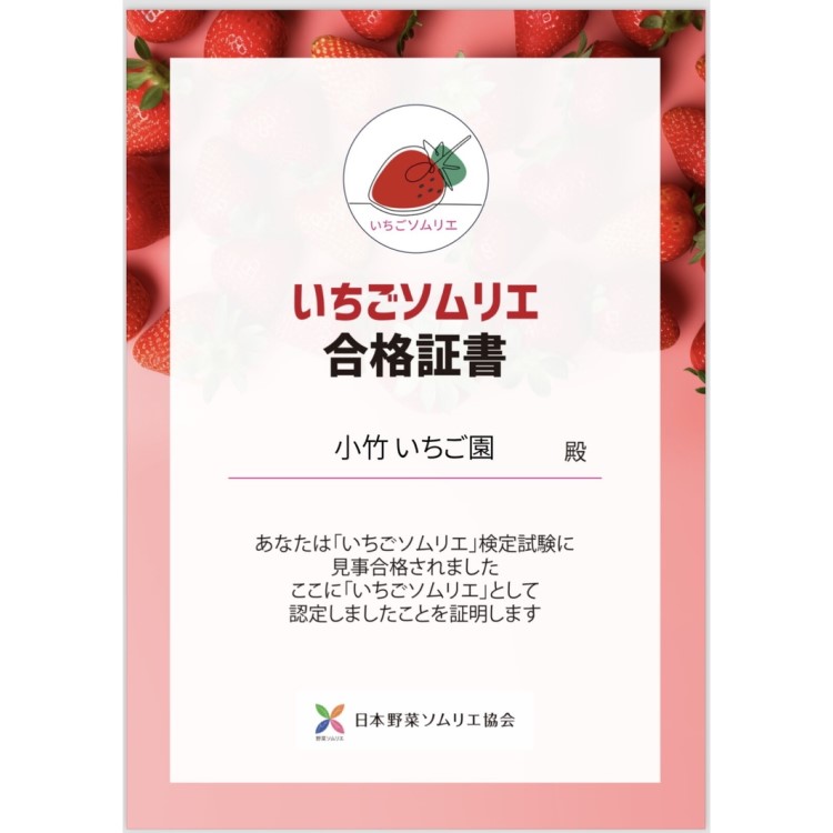 満足3種食べ比べセット（ミルキーベリー、スカイベリー、とちあいか）400g×2パック 800g｜先行予約 数量限定 ※2025年2月上旬～4月中旬頃に順次発送予定