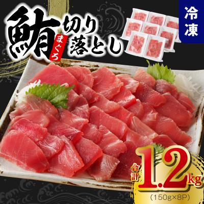 ふるさと納税 泉佐野市 天然まぐろ 切り落とし 合計 1.2kg 小分け 150g×8パック 015B569