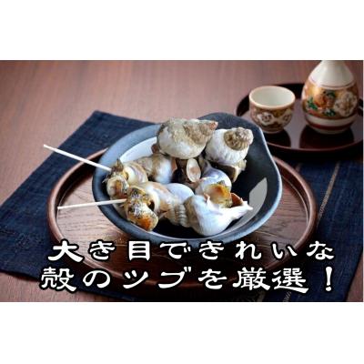 ふるさと納税 広尾町 北海道産　殻付き冷凍ボイルエゾバイツブ　1kg【エゾバイ　磯つぶ　イソツブ　つぶ貝】(0122) |  | 01
