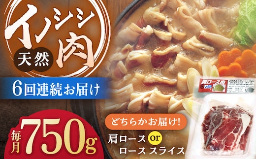 
										
										【6回定期便】ジビエ 天然イノシシ肉 肩ロース or ロース スライス750g【照本食肉加工所】 [OAJ056]
									