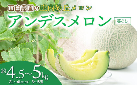 【令和7年産 先行予約】 庄内砂丘メロン　2L～4Lサイズ　約4.5㎏～5kg　(3～5玉)　つるなしアンデスメロン　山形県鶴岡市産　面白農園