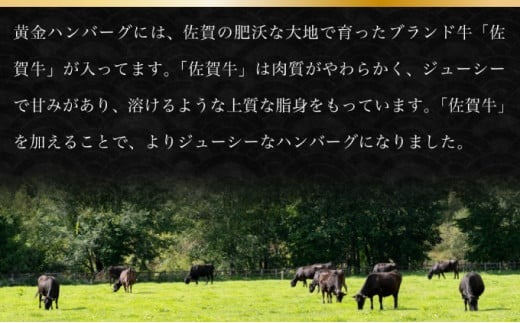 《2025年5月配送》老舗55年【佐賀牛入】黒毛和牛ハンバーグ がばいばーぐ 6個　A-93-I