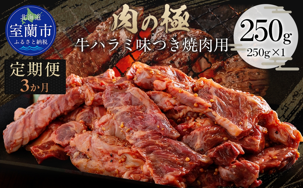 
                  【3か月定期便】牛ハラミ味つき焼肉用 250g (250g×1) 【ふるさと納税 人気 おすすめ ランキング 肉 牛肉 牛ハラミ 牛 ハラミ にく ニク 味付き 焼肉 バーベキュー BBQ 北海道 室蘭市 送料無料】 MROBM036
                