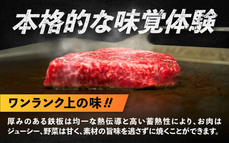 【極厚鉄板＋フタ】TM-10＋FL [BIBA013] 鉄板 キャンプ バーべキュー BBQ
