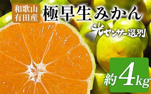 こだわりの極早生みかん 約4kg 農家直送 有機質肥料100% サイズ混合 ｜ みかん 極早生 早生 柑橘 果物 くだもの 果実 フルーツ 和歌山 有田 ※北海道・沖縄・離島への配送不可 ※2025年9月下旬～10月中旬頃に順次発送予定