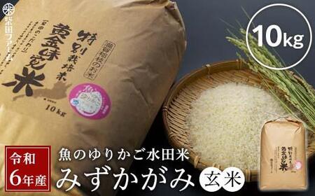 【数量限定】令和6年産（新米）滋賀県認証！魚のゆりかご水田米「みずかがみ」玄米10kg【柴田ファーム】