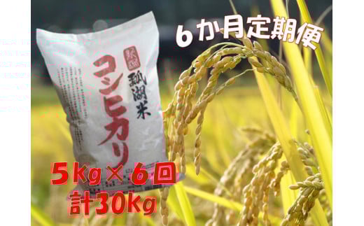 【令和7年産】【6ヶ月定期便】新潟産 コシヒカリ「瓢湖米」 5kg×6回  白米 精米 1N09083
