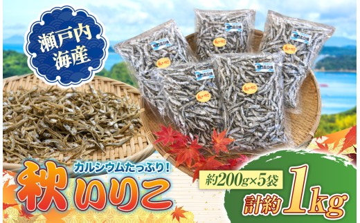 瀬戸内海産 秋いりこ ( 200ｇ × 5袋 計1kg )  | いりこ イワシ 煮干し 魚 瀬戸内 山口県 平生町