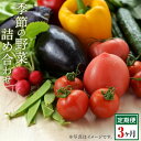 【ふるさと納税】【3回定期便】長崎県産　季節の野菜BOX【産直松吉】 | 長崎 長崎県 野菜 詰め合わせ 詰合せ 九州 定期便 おまかせ フルーツ 果物 新鮮 送料無料 お楽しみ