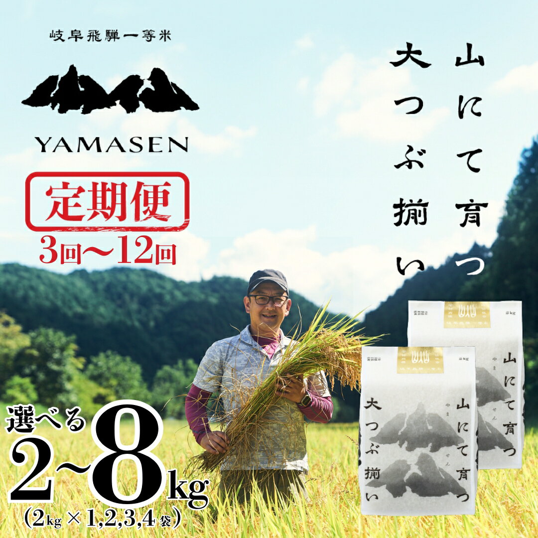 【ふるさと納税】【令和7年産米】山仙 (いのちの壱) 2kg ～ 8kg すぐ発送 即納 いのちの壱 すぐ届く 下呂市 金山産 2キロ 米 お米 精米 白米 いのちのいち やません ご飯 ごはん 農家直送 送料無料 13000円 令和7年 7年 7年産 2025年 農家直送