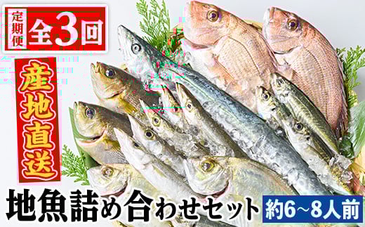 
            D09002 【3回定期便】魚屋さんの選んだ新鮮お魚詰め合わせ(約6～8人分) 鹿児島 国産 九州産 産直 産地直送 鮮魚 新鮮 魚 海産物 お刺身 煮つけ 焼き魚【マルケイ水産】
          