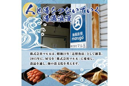 福岡銘茶八女茶 急須要らずのお手軽セット(便利なチャック付)(計340g)お茶 緑茶 煎茶 ティーバッグ 水出し 粉末茶 抹茶 常温 常温保存 【ksg0357】【マル五】